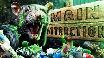 Can I Make a Successful Zoo with Only 7 Diseased Rats?