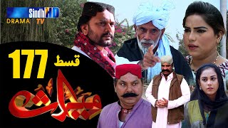 Meeras Ep 177 | Sindh TV Soap Serial | SindhTVHD Drama