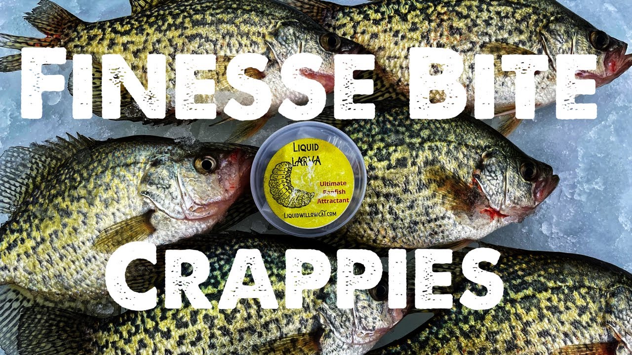 March Crappies Ice Fishing Wisconsin YouTube