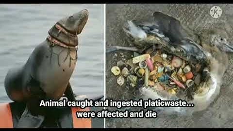 "YR GLOBAL CITIZEN" – Team 1_THE YOUTH