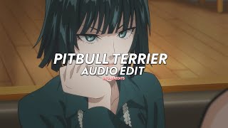 Download Lagu Pitbull Terrier (tiktok version) - Die Antwoord [edit audio] MP3