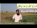 April se kon c fasal lgaen aur kese important tips for profitable farming ir farm