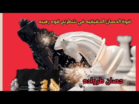 سر الحصان في شطرنج استراتيجيات مدهشة لتحويل لحصان إلى فخ طرواده في لعبة الشطرنج الشطرنج