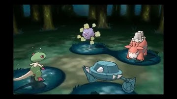 Pokemon Omega Ruby Magma Admin Courtney