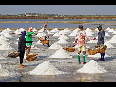 Video: Ar jūros druska ir valgomoji druska yra tas pats?