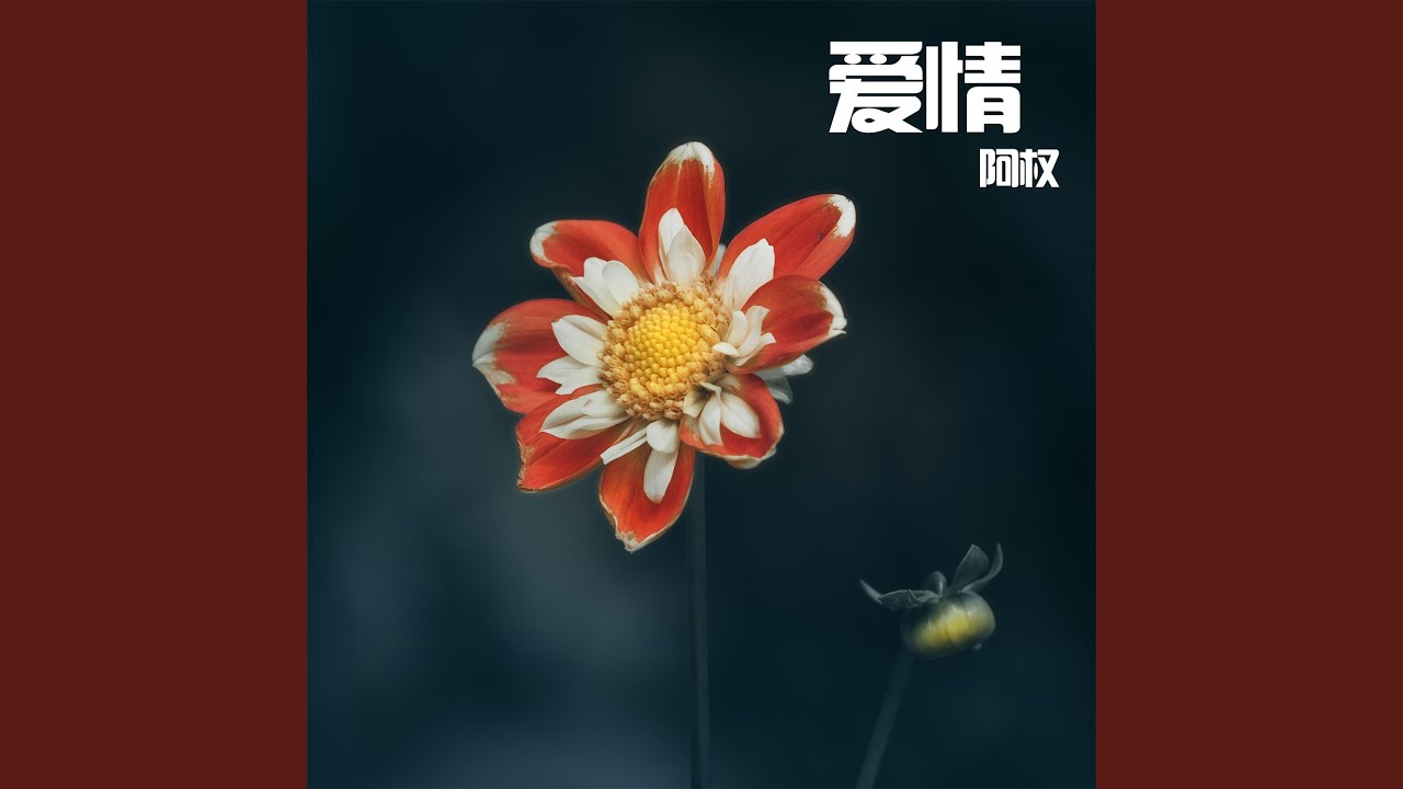 Watch 徐群 on YouTube Watch 徐群 on YouTube