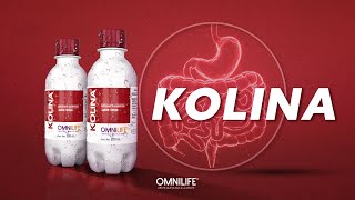 Kolina