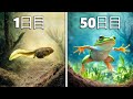 オタマジャクシをカエルに育てる(50日間の進化)