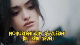 LAGU TURKI (Yanlışımsan) LIRIK-KARAOKE