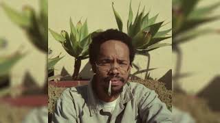 Earl Sweatshirt - TOURMALINE - Instrumental