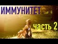 ИММУНИТЕТ (часть 2) Средства защиты, микрофлора, пищеварение, тимус