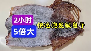 泡發幹魷魚墨魚，別只用堿水和清水，海邊人教的做法，2小時5倍大 How to Soak Dried Squid