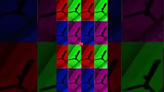 Fan Ka Fun 🪭 🪭 #trending#ceilingfan#fan#shorts#trendingshorts#viralshorts#viral#ytshorts#fyp#fypシ