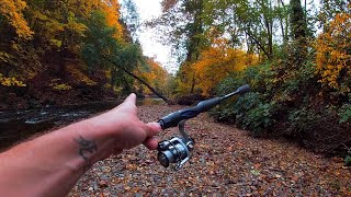 Pa Fall Fishing for TROUT (Pennypack Creek)