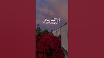 قل إن الفضل بيد الله يؤتيه من يشاء و الله واسع عليم || سورة آل عمران || القارئ: شريف مصطفى
