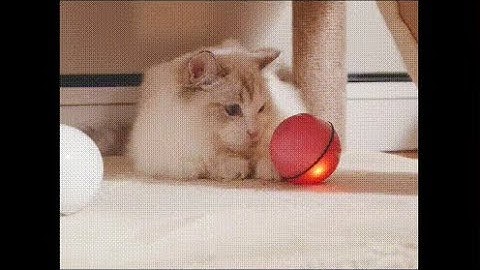 Smart Interactive Cat Toy - Motion Activated Pet Ball