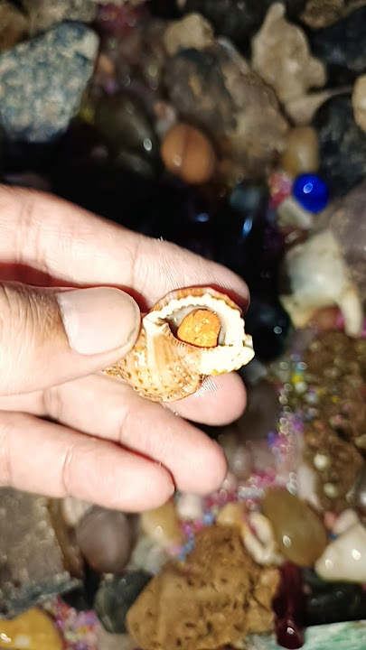 Batu kecil 10 jtan. #batuakik #crystals #batumewah #batumulia #gemstone #batupermata #batukontes