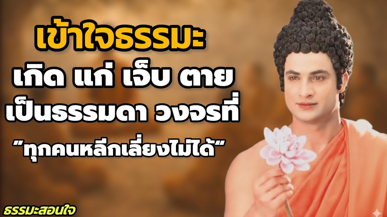 เกิด แก่ เจ็บ ตาย เป็นธรรมดา วงจรที่ทุกคนหลีกเลี่ยงไม่ได้ | #ธรรมะสอนใจปล่อยวาง // #ธรรมะสอนใจ 