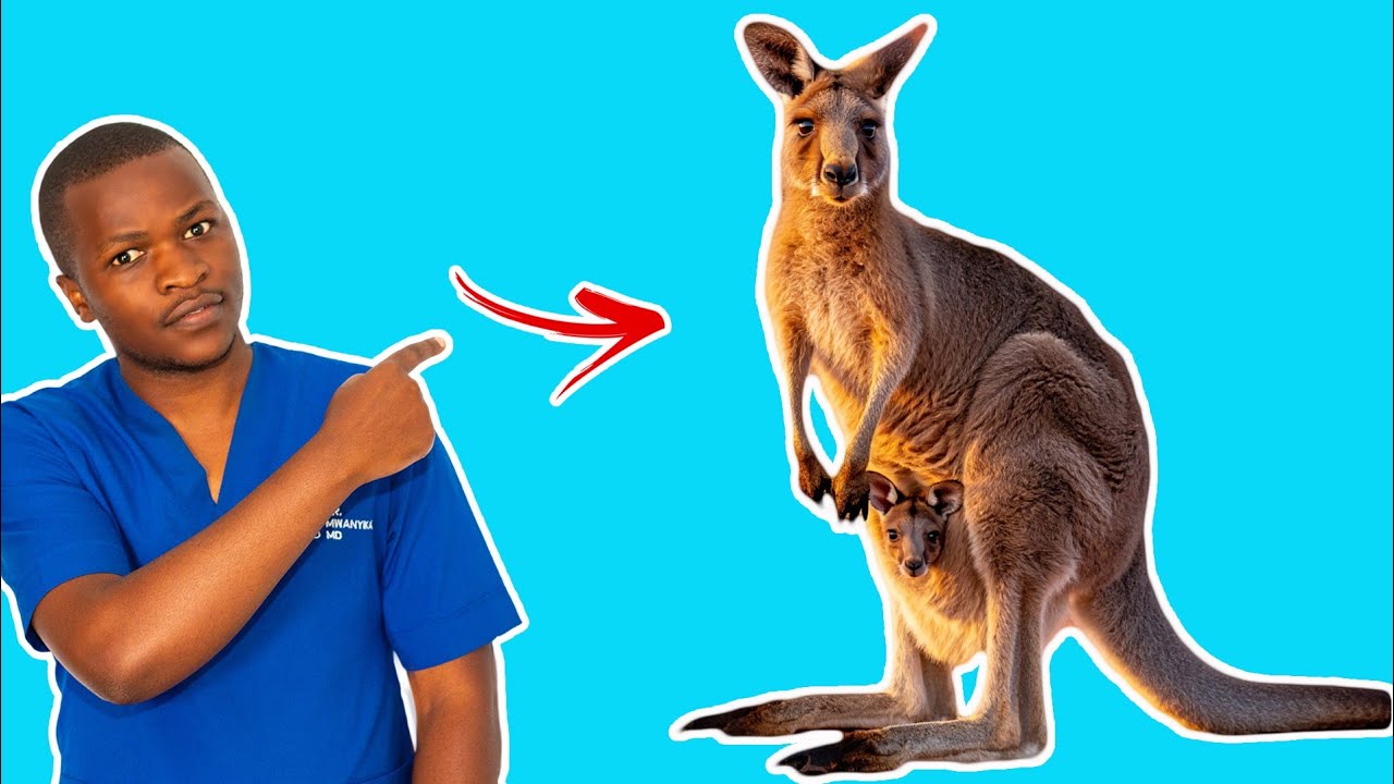 Jinsi Ya Kumlea Mtoto Njiti NA Asiyekomavu  Kwa Ufasaha! Mambo 2 muhimu (Sehemu ya 1)