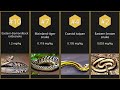 【Top 10】Most venomous snakes by measured LD50【Searched in 2025】
