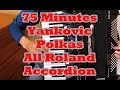 Yankovic Polkas 75 Minutes