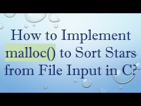 How to Implement malloc() to Sort Stars from File Input in C?