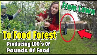Couple Converts Boring Backyard Lawn Into A Food Forest Garden That Produces 100's Of Pounds Of Food