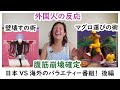 【外国人の反応】日本と海外のバラエティ番組の大違い！これは腹筋崩壊するねｗｗ