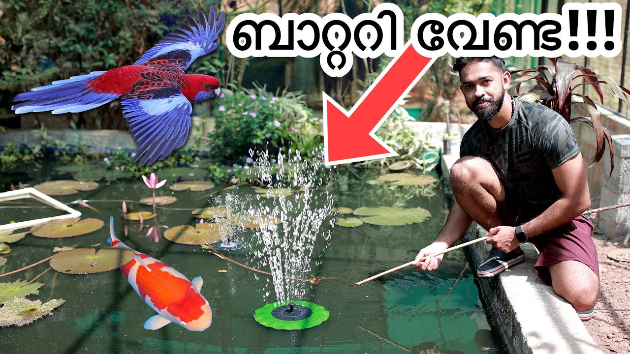 കിളികൾക്ക് കുളിക്കാൻ “Fountain” മേടിച്ചു | Bought New Fountain