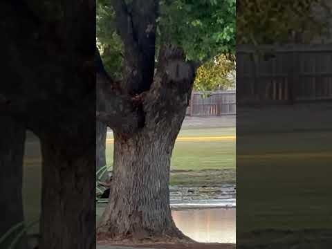 Turlock Christian School field was irrigated