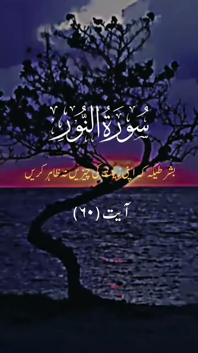 #surah Noor #ayaat 60 #quran verses #quran Urdu translation #script writer also #subscribe