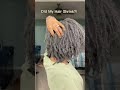 Microlocs Diary Day 241 💕#shorts #microlocs #viral #naturalhair