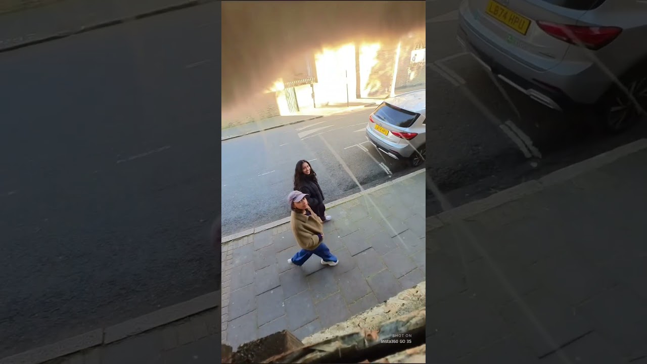 Get your GO 3S Cat Cam link in bio @insta360 #cat #insta360 #insta360catcam #funny