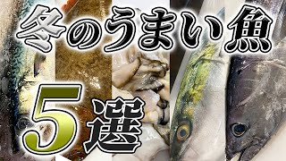 【 良い魚 ランキング 】 冬 に 旨い魚 5選 【  目利き ・ せり人ムタロー  】