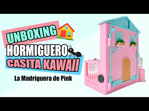Unboxing El HORMIGUERO mas ADORABLE DEL MUNDO 🐜