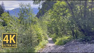 Alpine Scenery Nature Walk 4K (With Ambient Nature Sounds And Music)