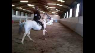 Langshot 2ft3 and 2ft6 clear round