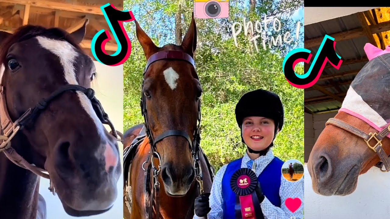 TikTok Horse Compilation [Riding, Slowmo, lessons, shows] 🐴💕🎉 YouTube
