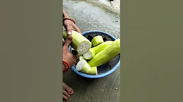Snack Gourd Vegitables 