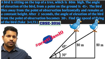 A bird is sitting on the top of tree 80m  high angle of elevation of bird from a point on ground 45