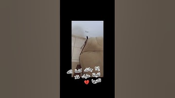 تلاوة عطرة تقشعر لها الأبدان راحة نفسية القرآن الكريم
