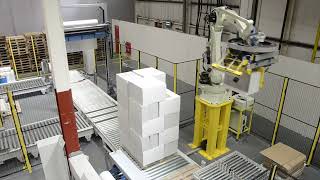 Palletizing food packaging CP180L