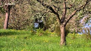 Le Verger Carrousel De La Vie - Documentaire Complet 2014
