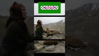 1KbgtYw3g8UrimAuEdnYU4V2oLZF5RJMP clip06 498 539 20260804 020311