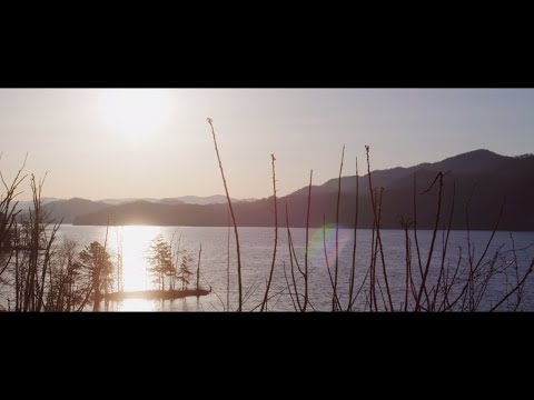 Using RED SCARLET