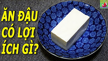 Ăn đậu phụ cơ thể nhận về 6 lợi ích sức khỏe không ngờ
