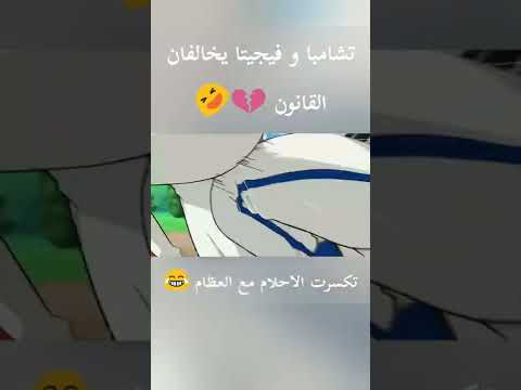 تشامبا و فيجيتا يخالفان القانون غوكو يلعب كرة المضرب ضد فيجيتا