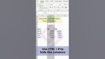 How to Copy and Paste Data Leaving/Skipping Hidden Rows or Columns in MS Excel?
