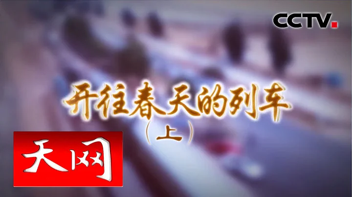 《天网》 派出所的故事 开往春天的列车（上） | CCTV社会与法 - 天天要闻