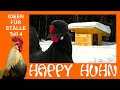 E126 Ideen für Hühnerställe Teil 4 - Winterfeste Ställe - HAPPY HUHN, überdachte Volieren Zuchtstall